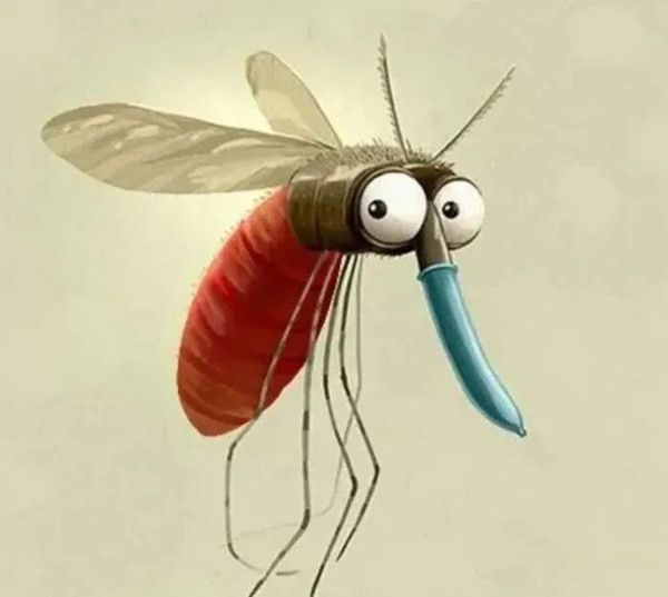 1678763534170862.jpg 1.jpg