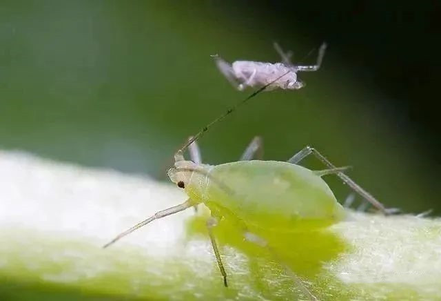 1678766514562058.jpg 2.jpg